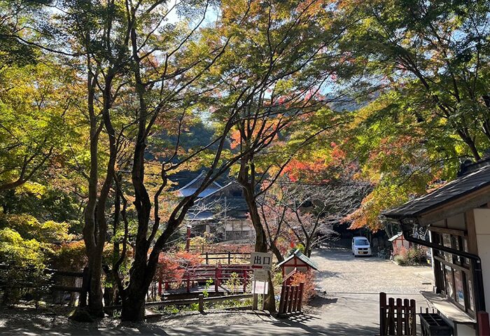 奈良県桜井市にあるの談山神社御朱印02