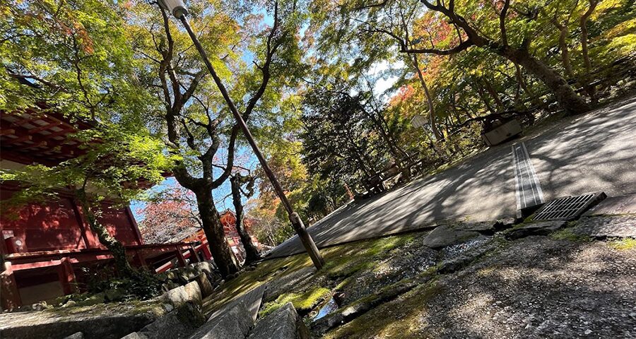 奈良県桜井市にあるの談山神社御朱印04